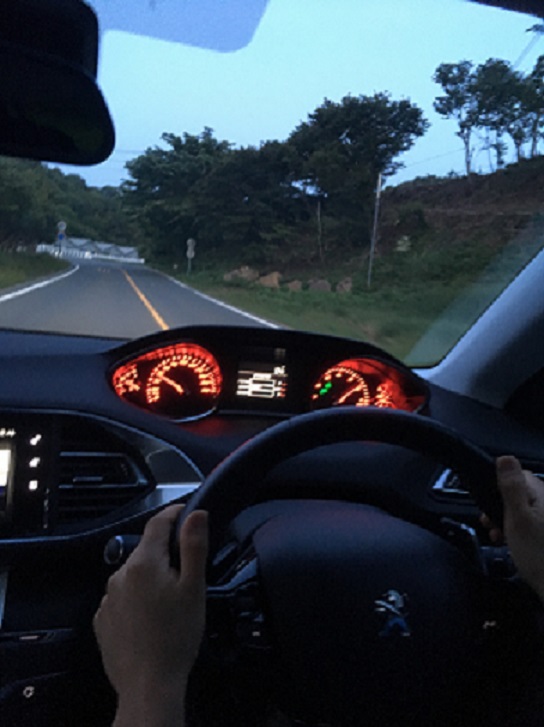 走ってきました！