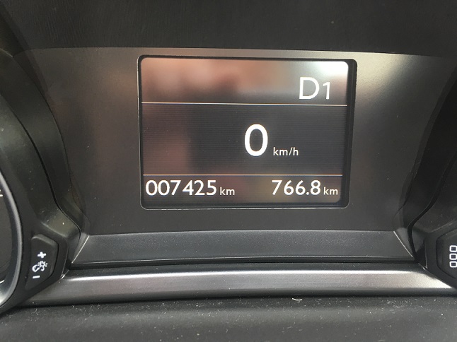 走ってきました！