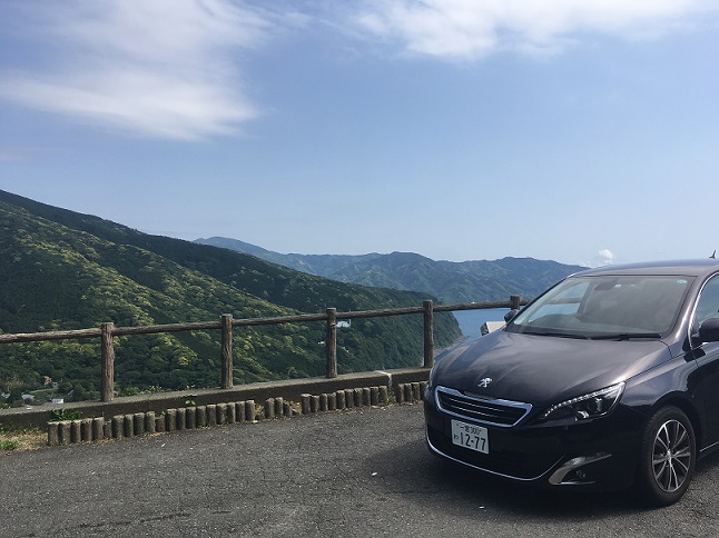 走ってきました！