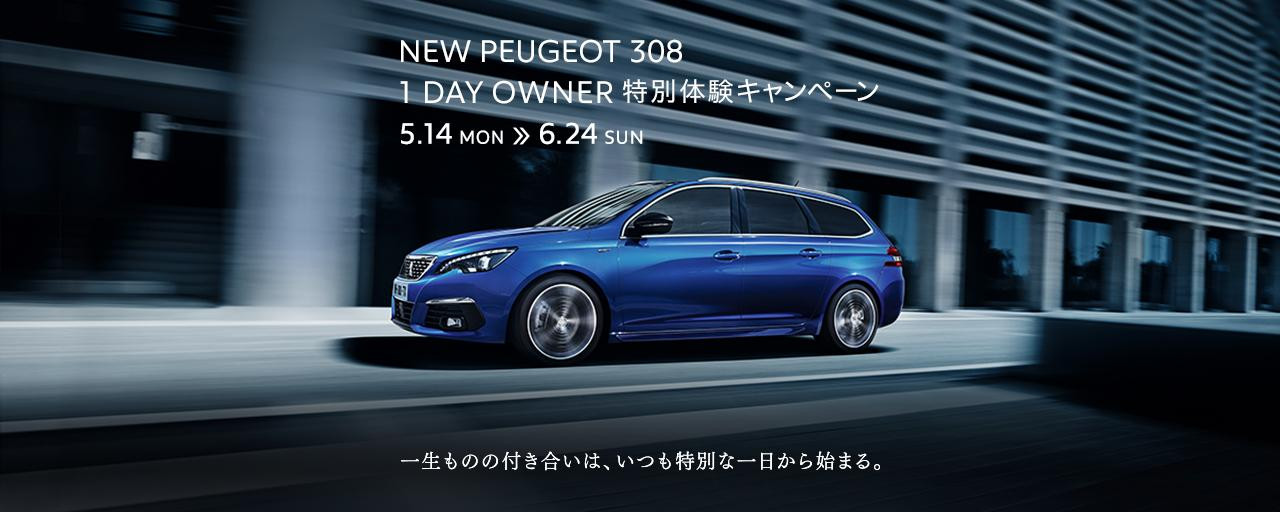 特別購入サポート実施中！