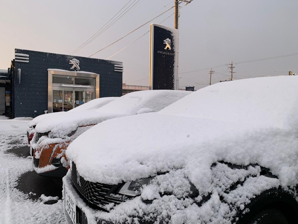 また雪！