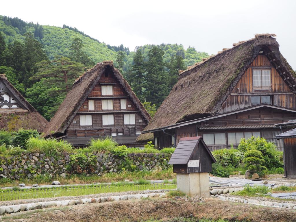 残暑お見舞い申し上げます。