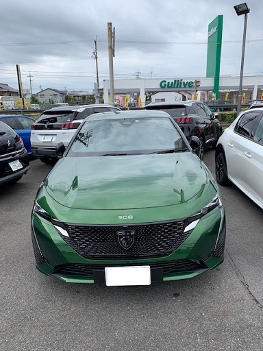 新型308！！