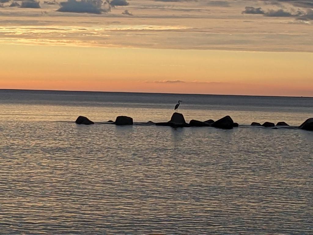 綺麗な夕焼け空