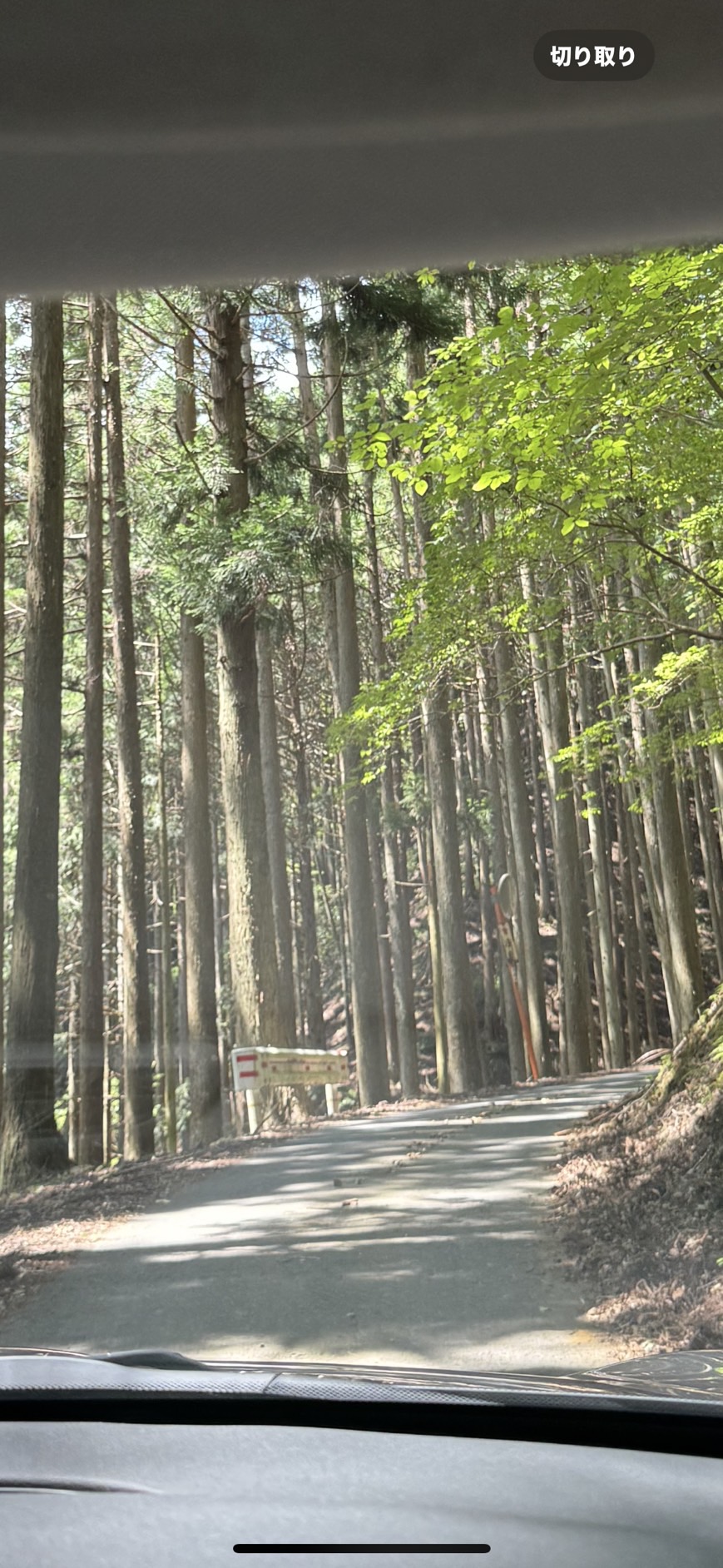 京都へ！